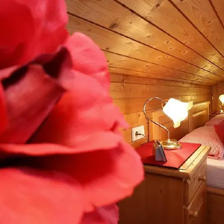 Haus Hohensonne Guest house Hoechenschwand